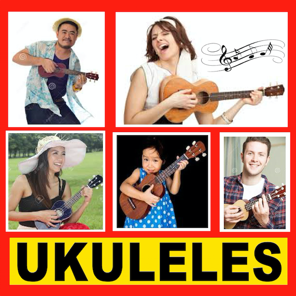 McGuire Music sells Ukuleles